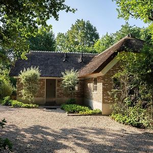 Holiday Seven-Bedroom Home